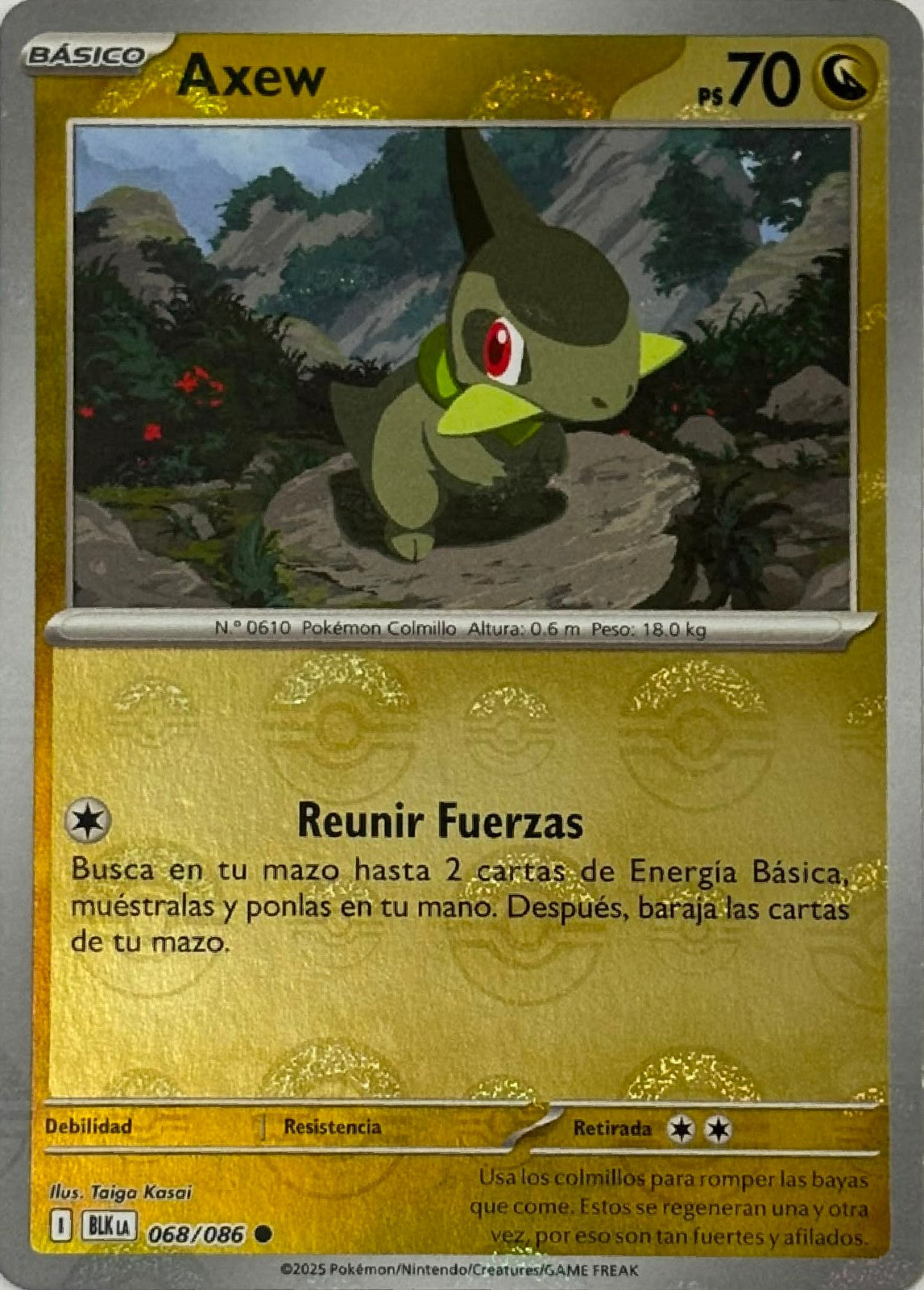 Pokemon Tcg Axew 068/086 (Poke ball pattern) Español