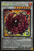 Yugioh! Black Rose Dragon L5dd-ens02 1st edition Secreta
