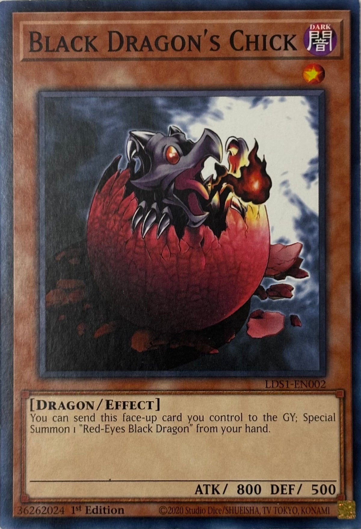 Yugioh! Black Dragon’s Chick Lds1-en002 1st edition