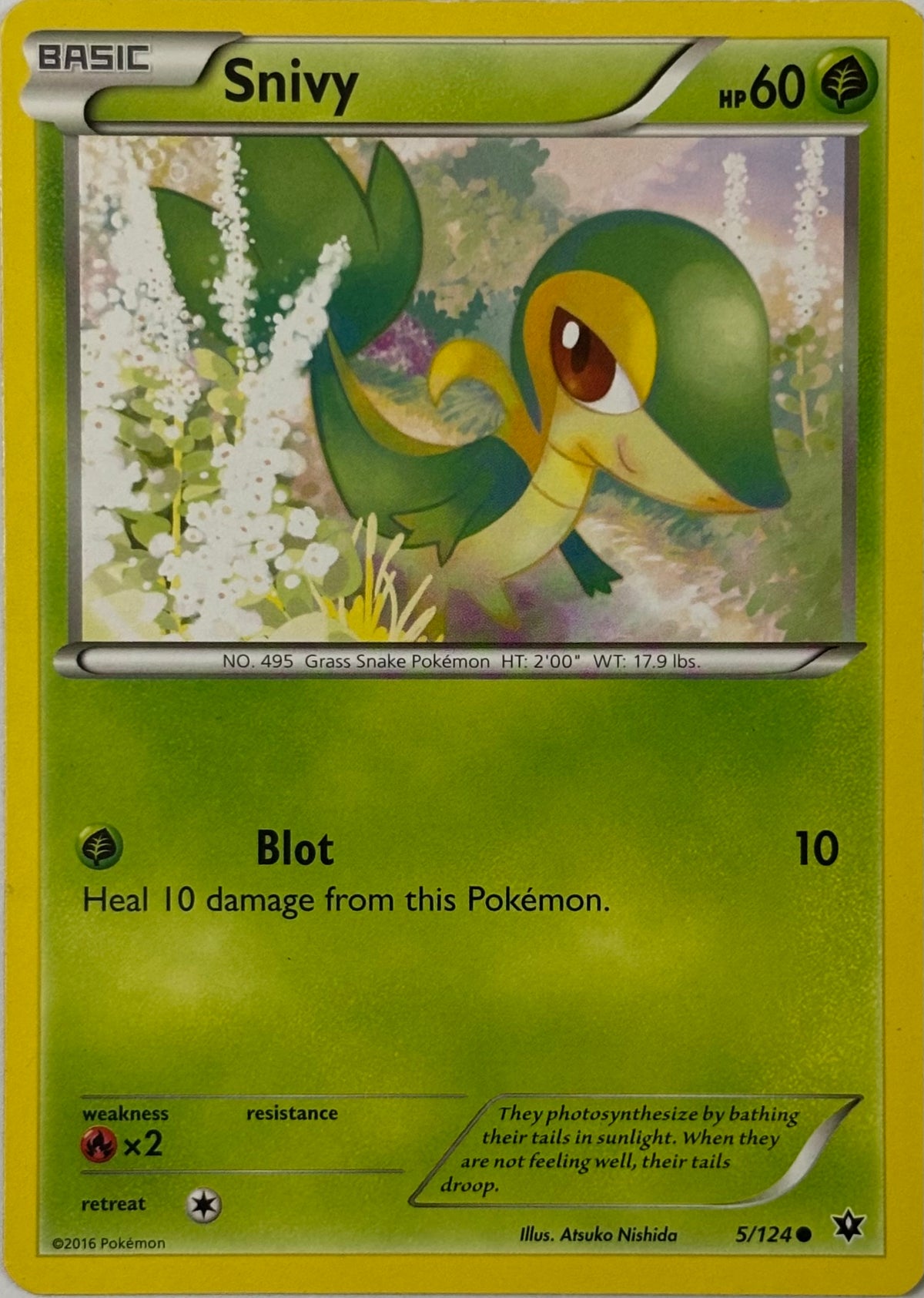 Pokemon Tcg Snivy 5/124