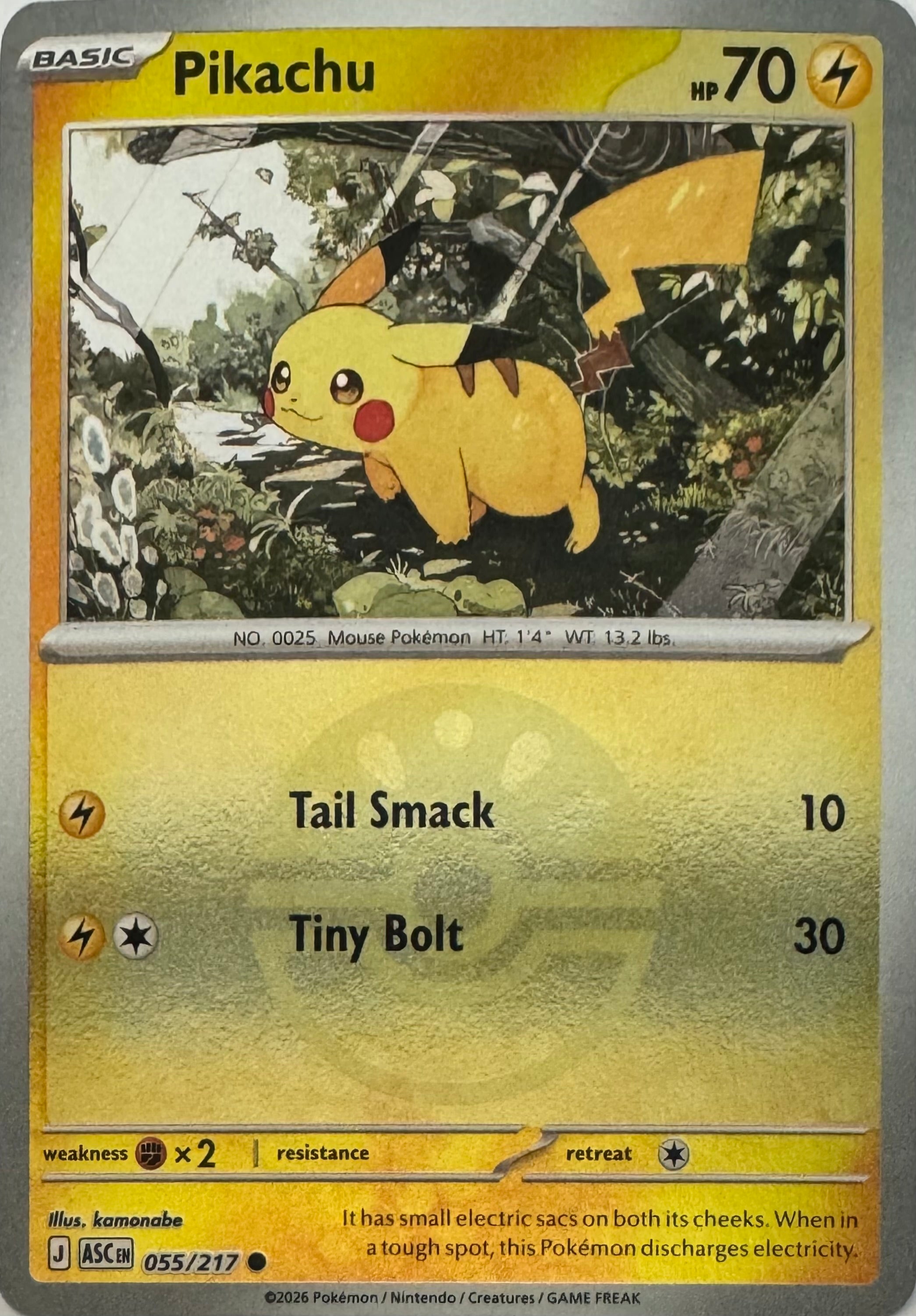 Pokemon Tcg Pikachu 055/217 (Friend Ball)