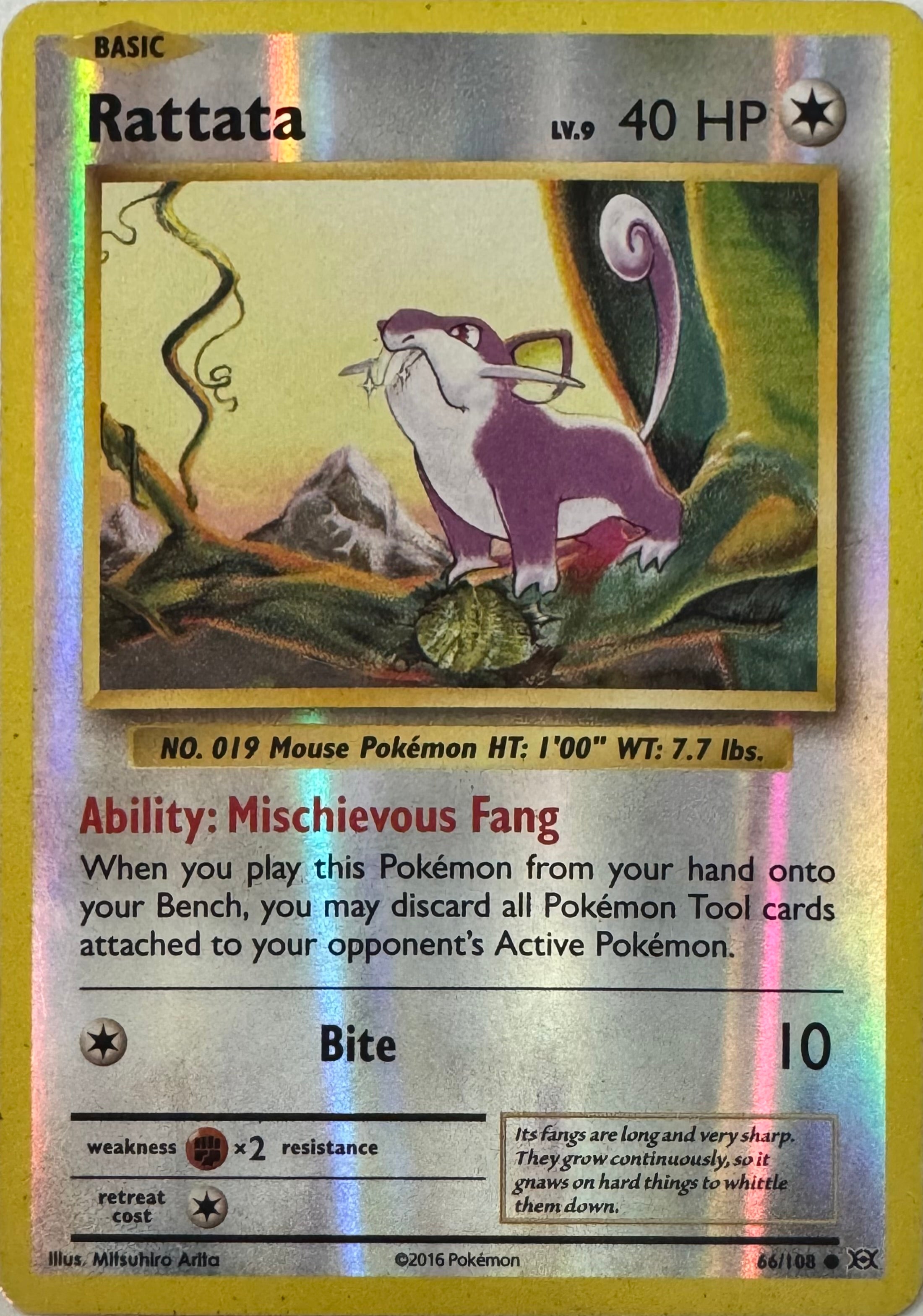Pokemon Tcg Rattata 66/108 Reverse