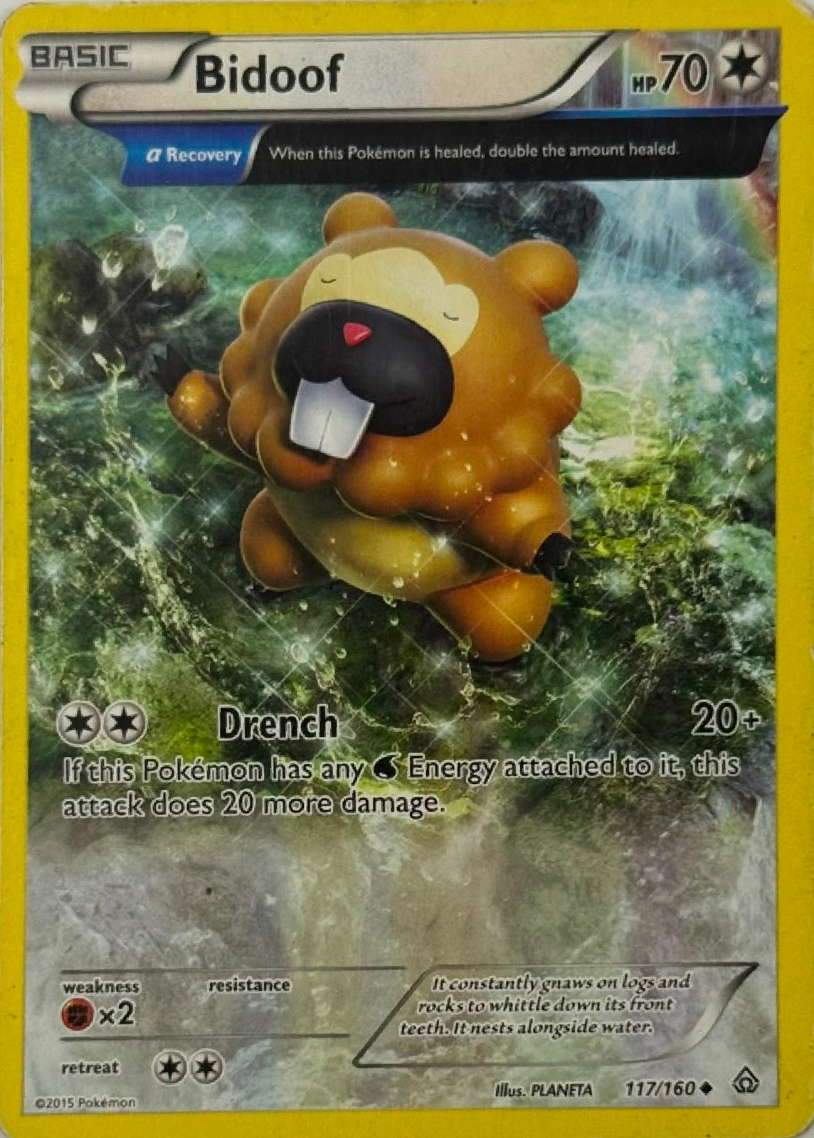 Pokemon Tcg Bidoof 117/160