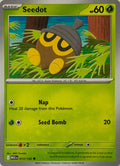 Pokemon Tcg Seedot 013/132