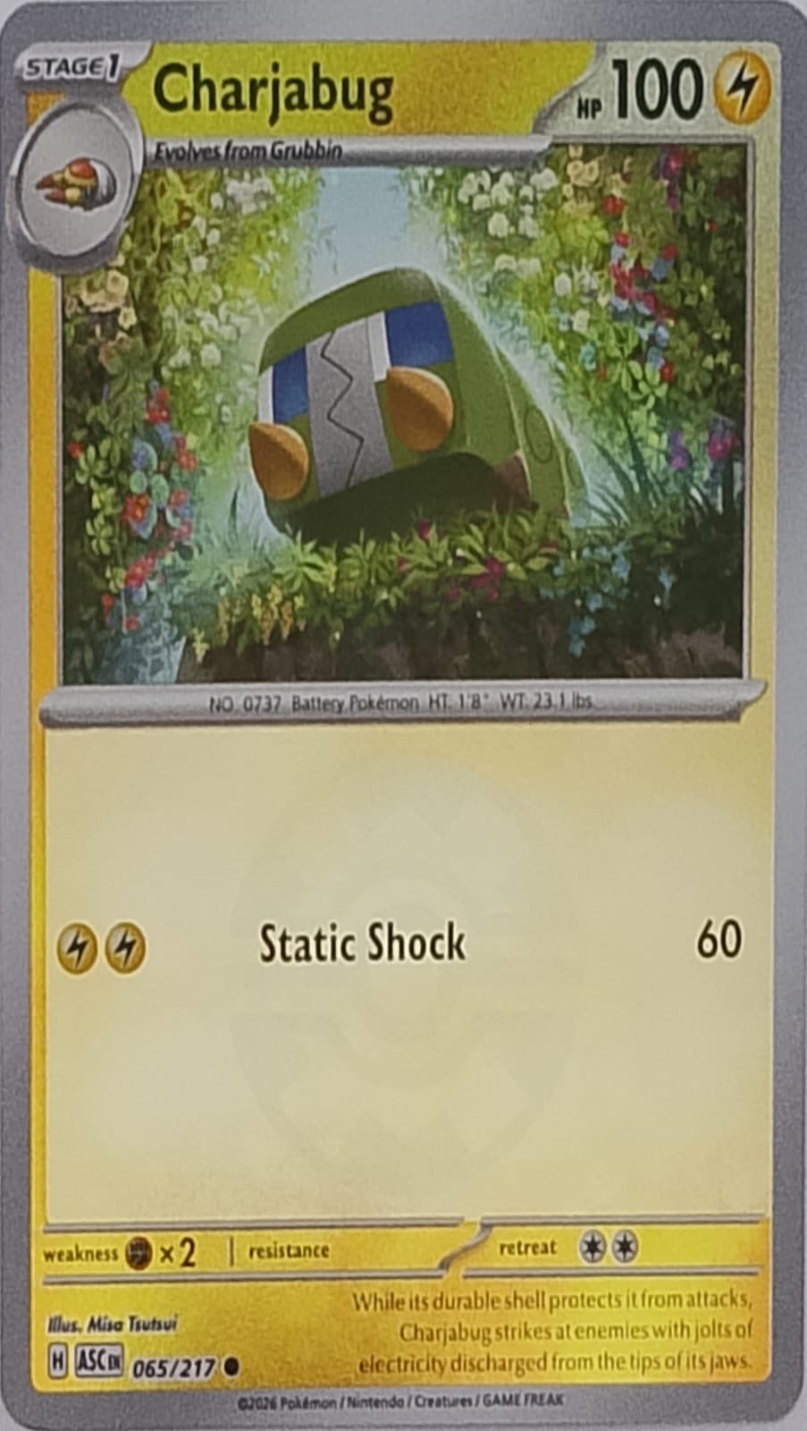 Pokémon tcg charjabug 065/217 (quick ball)