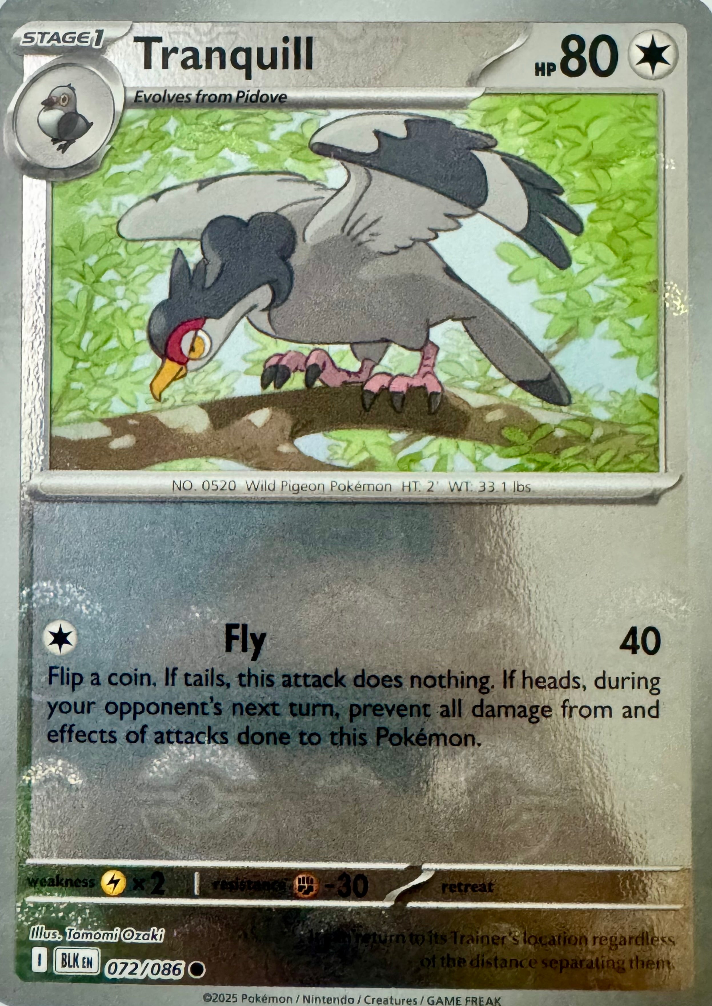 Pokémon tcg Tranquill 072/086 Holo(Pokeball Pattern)