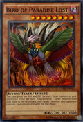 Yugioh! Bird Of Paradise Lost Core-en040