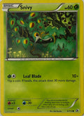 Pokemon Tcg Snivy 6/113