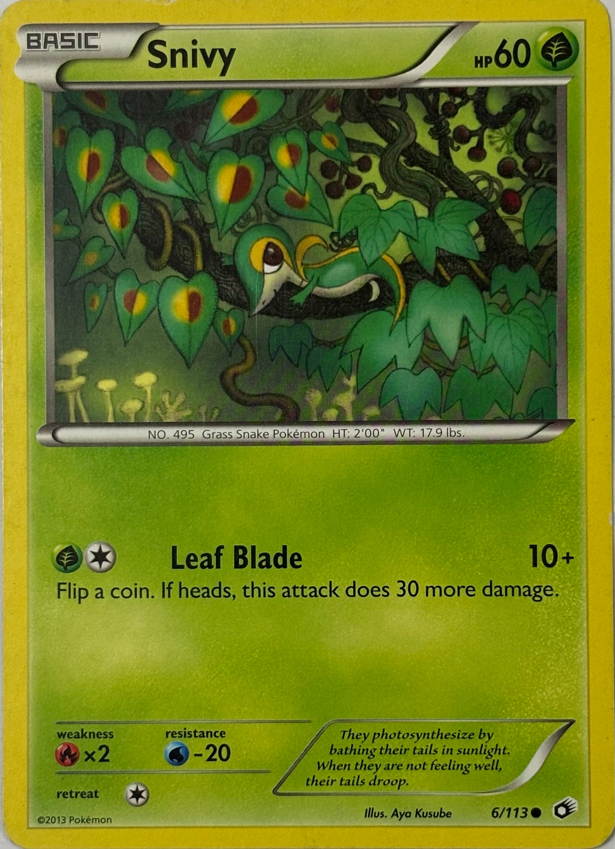 Pokemon Tcg Snivy 6/113