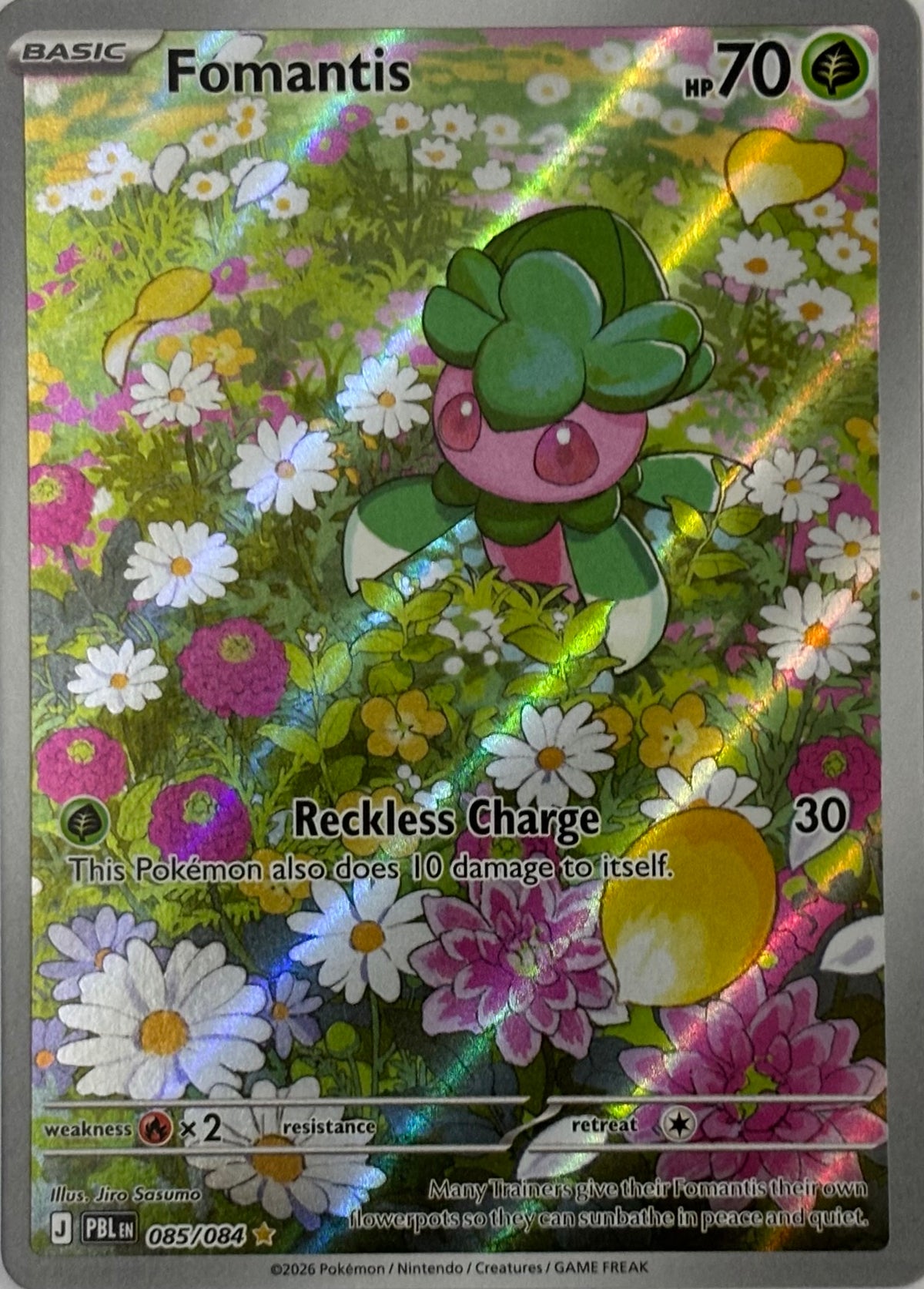 Pokemon Tcg Fomantis 085/084 Illustration Rare