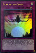 Yugioh! Blackbird Close L5dd-enc25 1st edition Ultra rare
