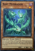 Yugioh! Baby Mudragon Dama-en081 1st Edition