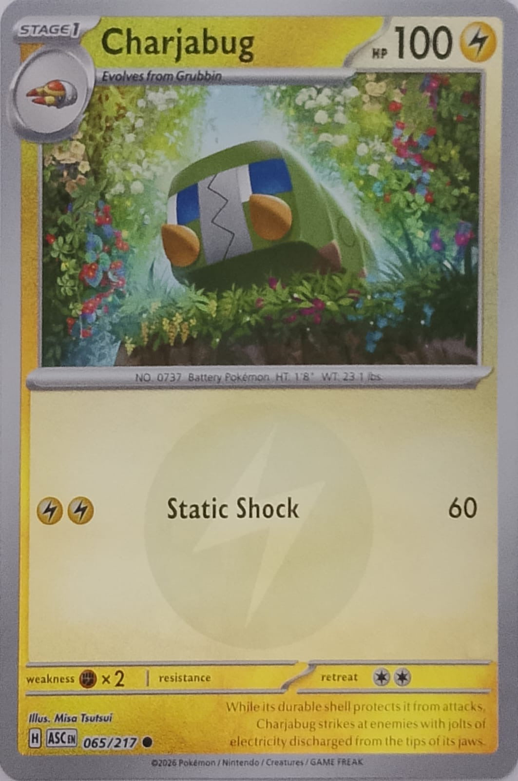 Pokemon tcg charjabug 065/217 (energy symbol)