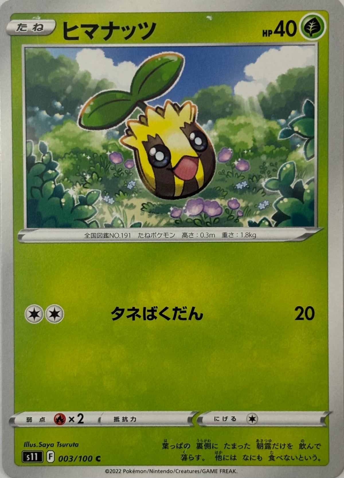 Pokemon Tcg Sunkern 003/100 (Japones)