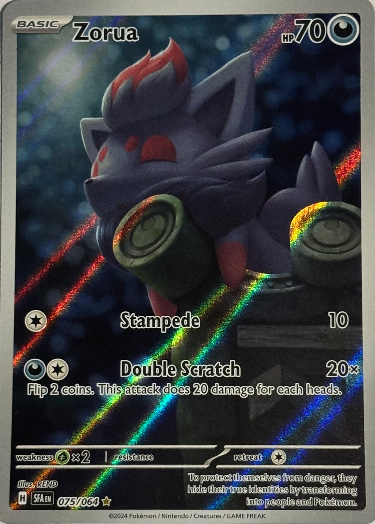 Pokemon Tcg Zorua 075/064 Illustration
