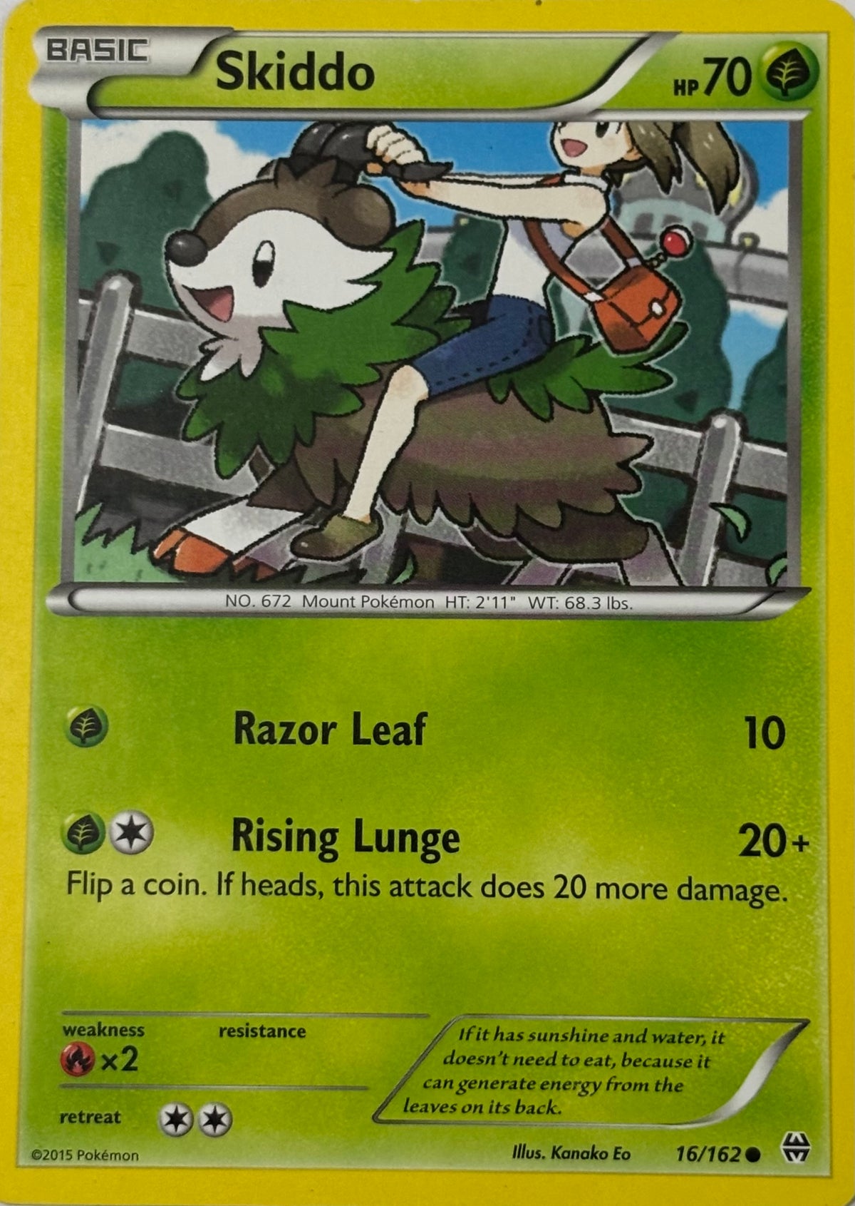 Pokemon Tcg Skiddo 16/162
