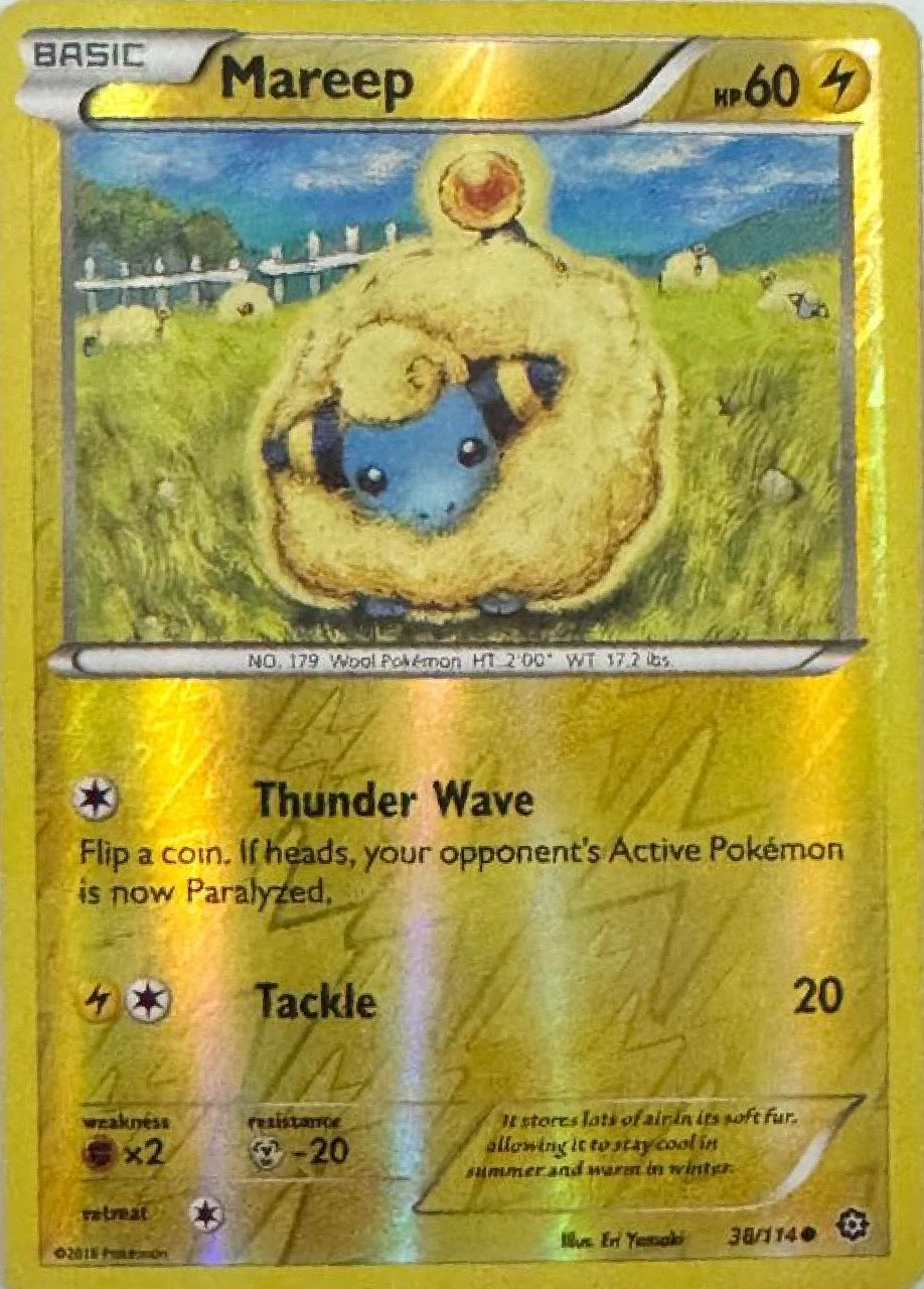 Pokemon Tcg Mareep 38/114 reverse