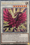 Yugioh! Dragon De La Rosa Negra Luz De Luna  RA03-SP038 Quarter