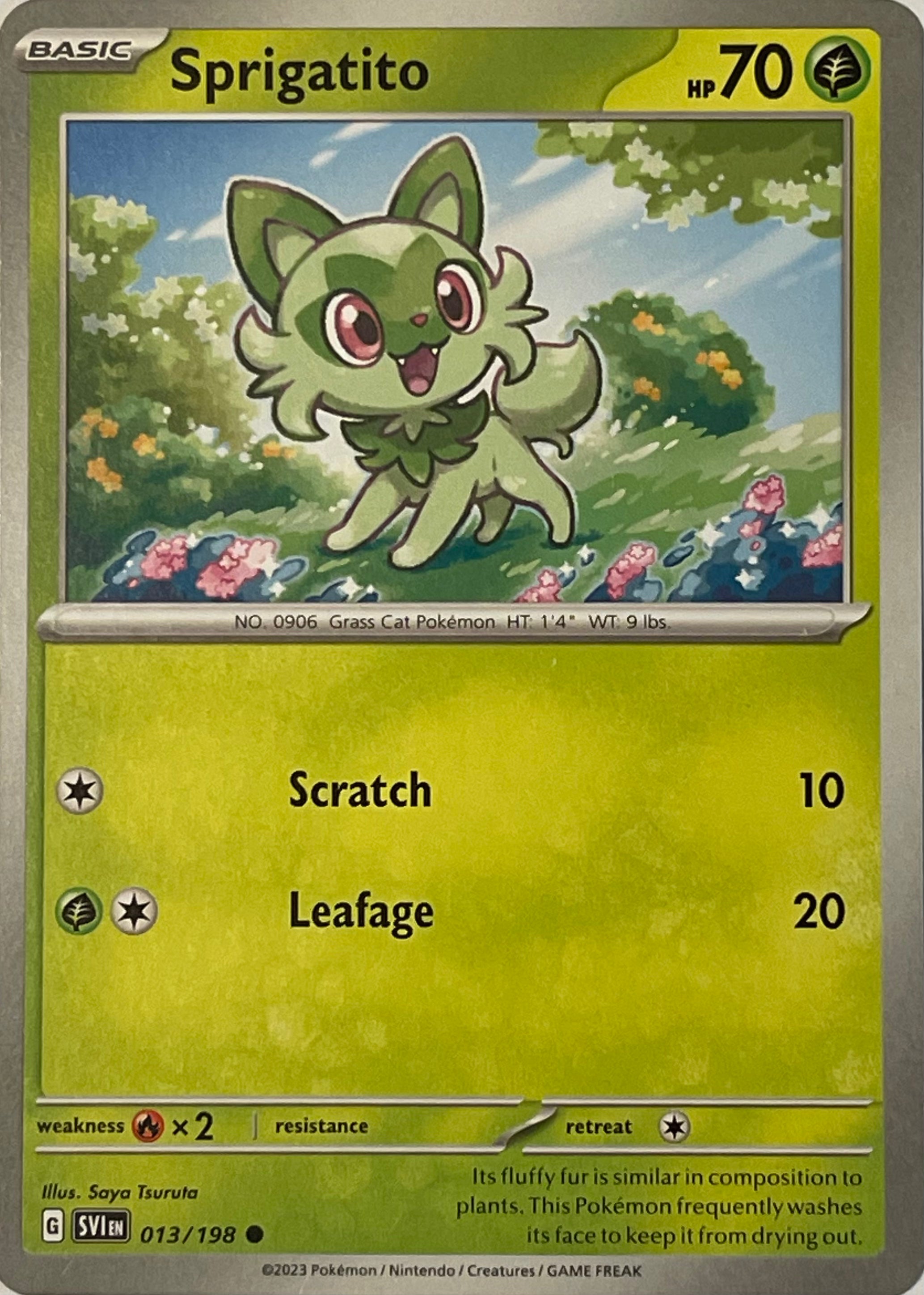 Pokemon Tcg Sprigatito 013/198