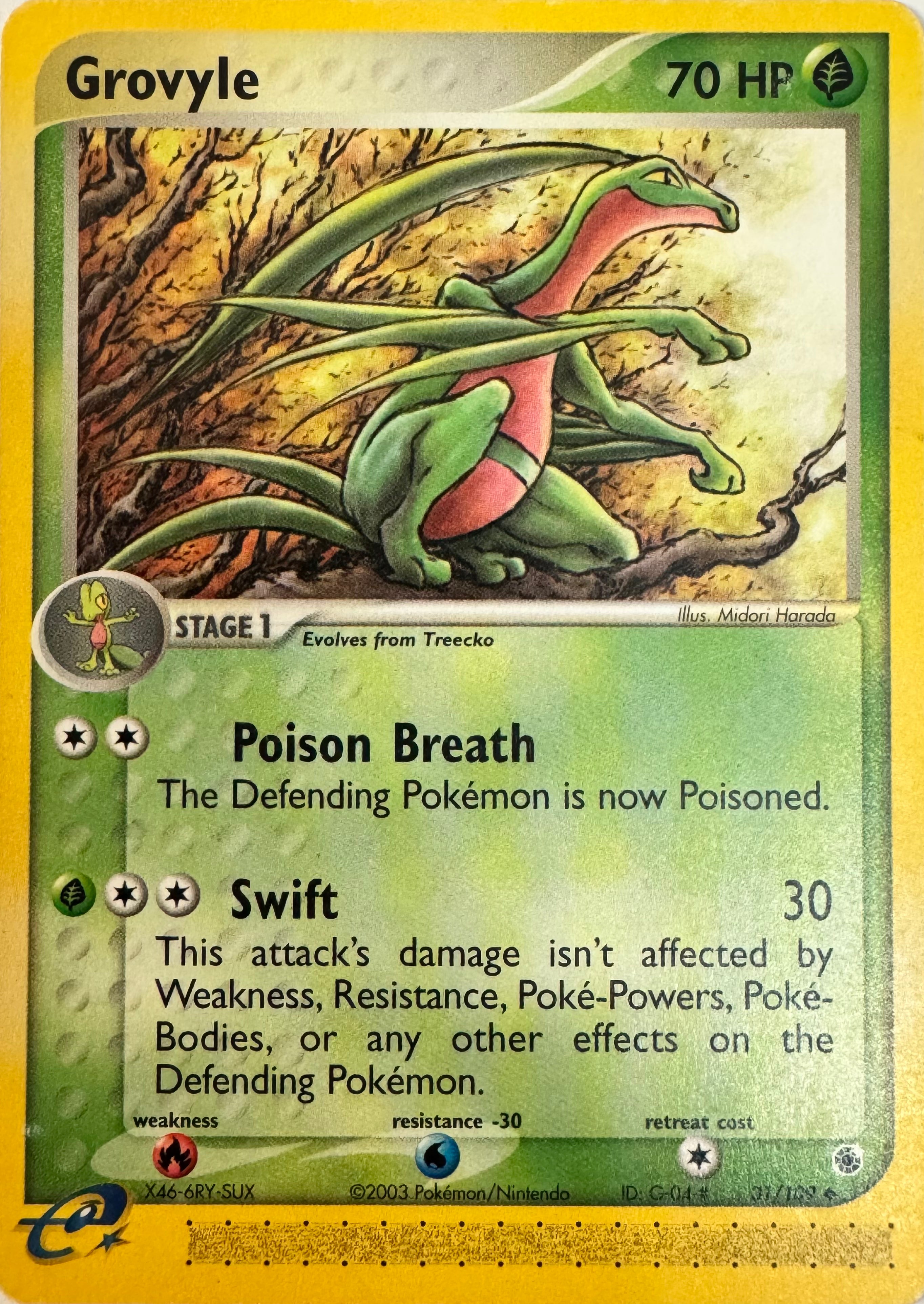 Pokemon Tcg Grovyle 31/109
