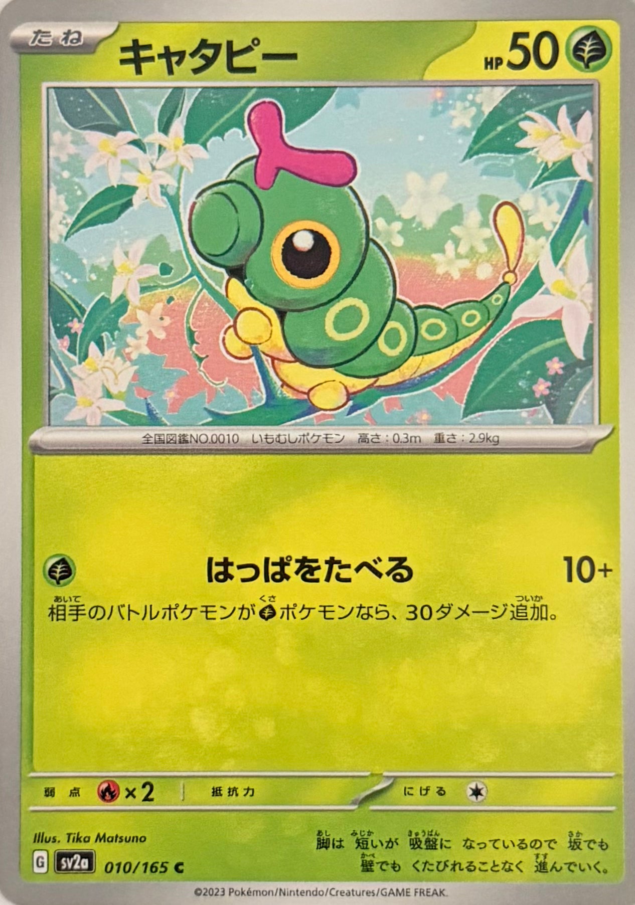 Pokemon Tcg Caterpie 010/165 Japonés