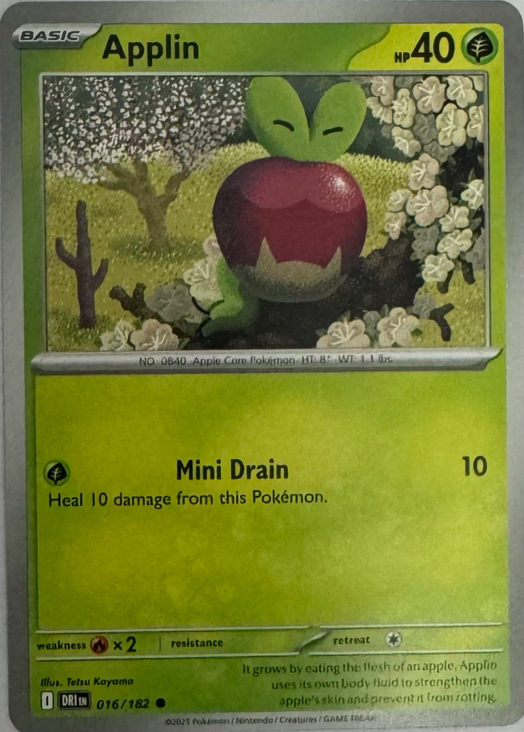 Pokemon Tcg Applin 016/182