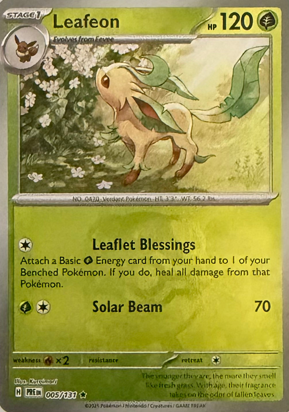 Pokemon Tcg Leafeon 005/131 (Master ball)