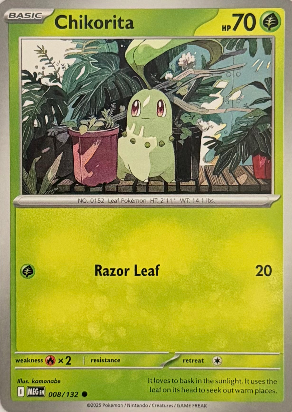 Pokemon Tcg Chikorita 008/132