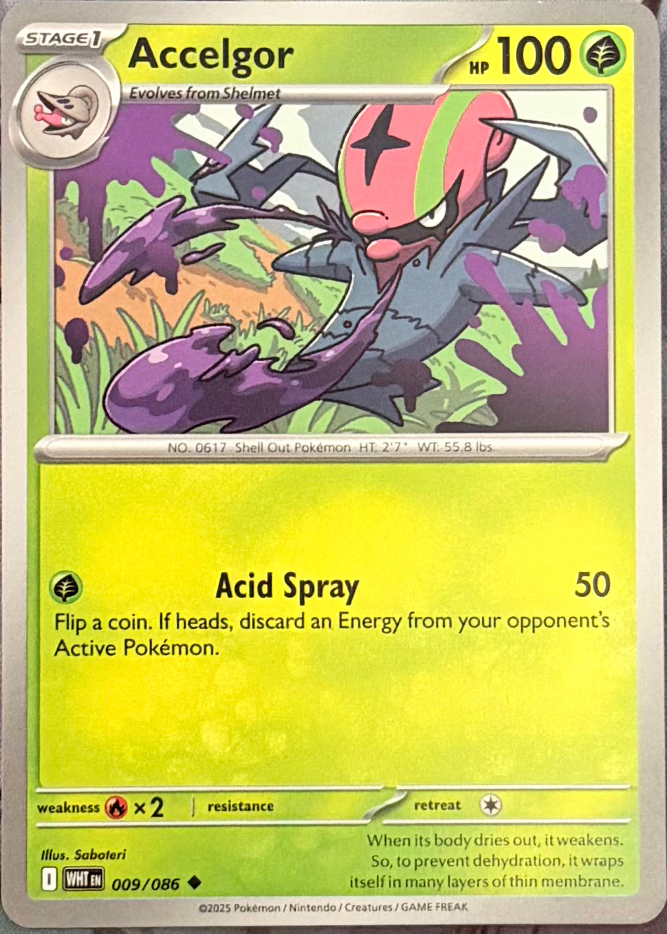 Pokemon Tcg Accelgor 009/086