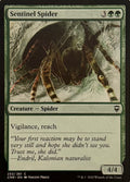 Magic Sentinel Spider 253/361