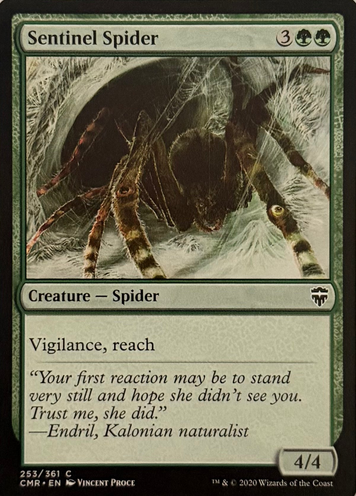 Magic Sentinel Spider 253/361