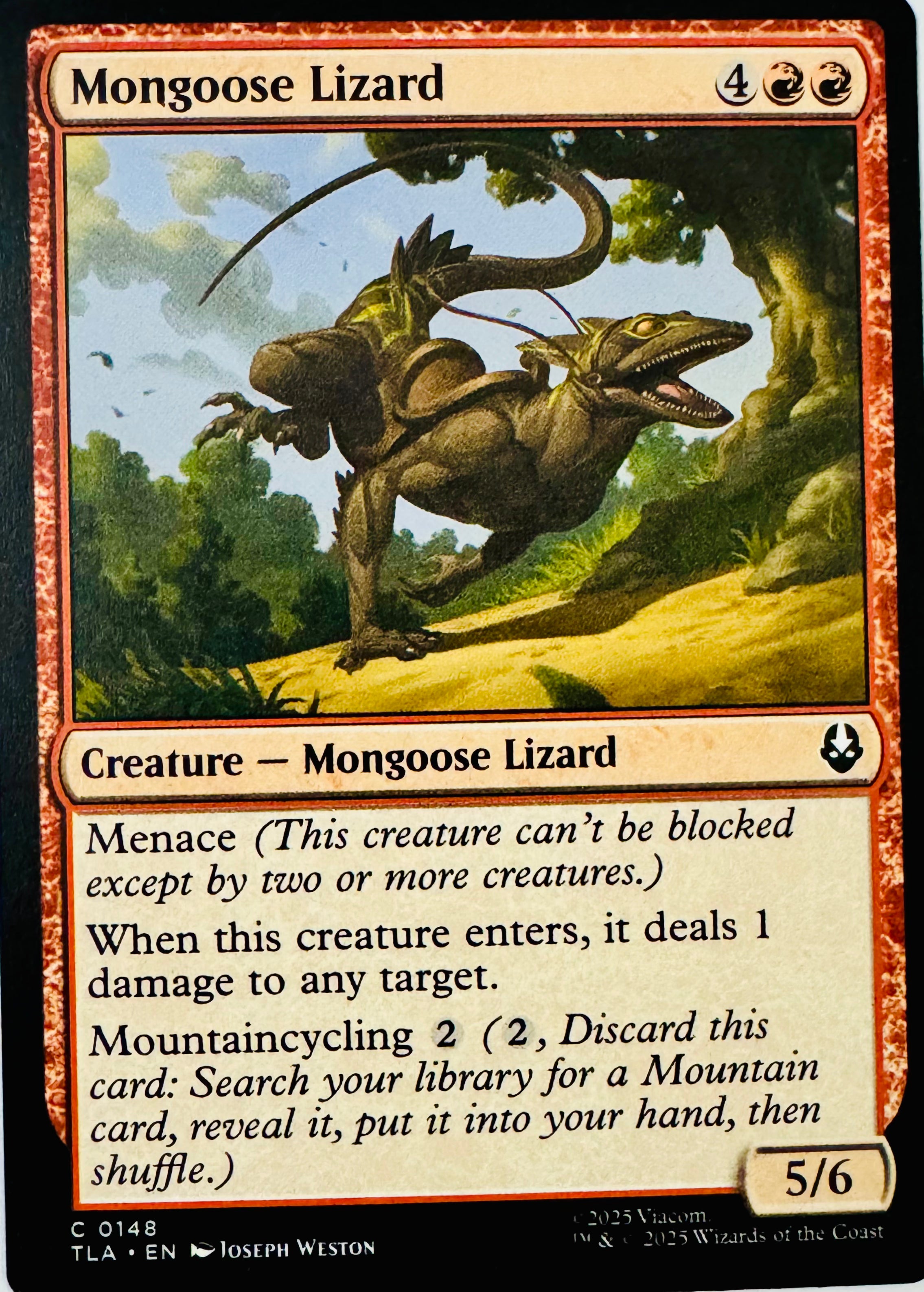 Magic Moongose Lizard 0148