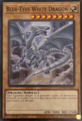 Yugioh! Blue Eyes White Dragon SDWD-EN003 1st Edition