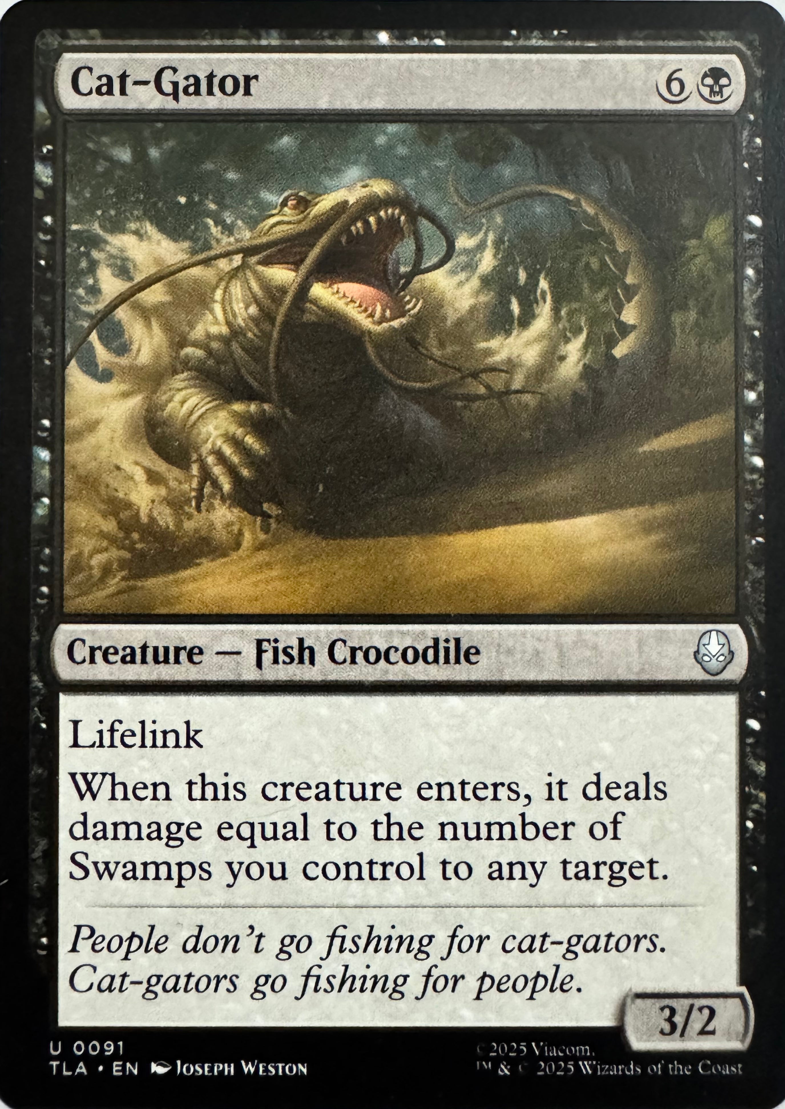 Magic Cat-Gator 0091