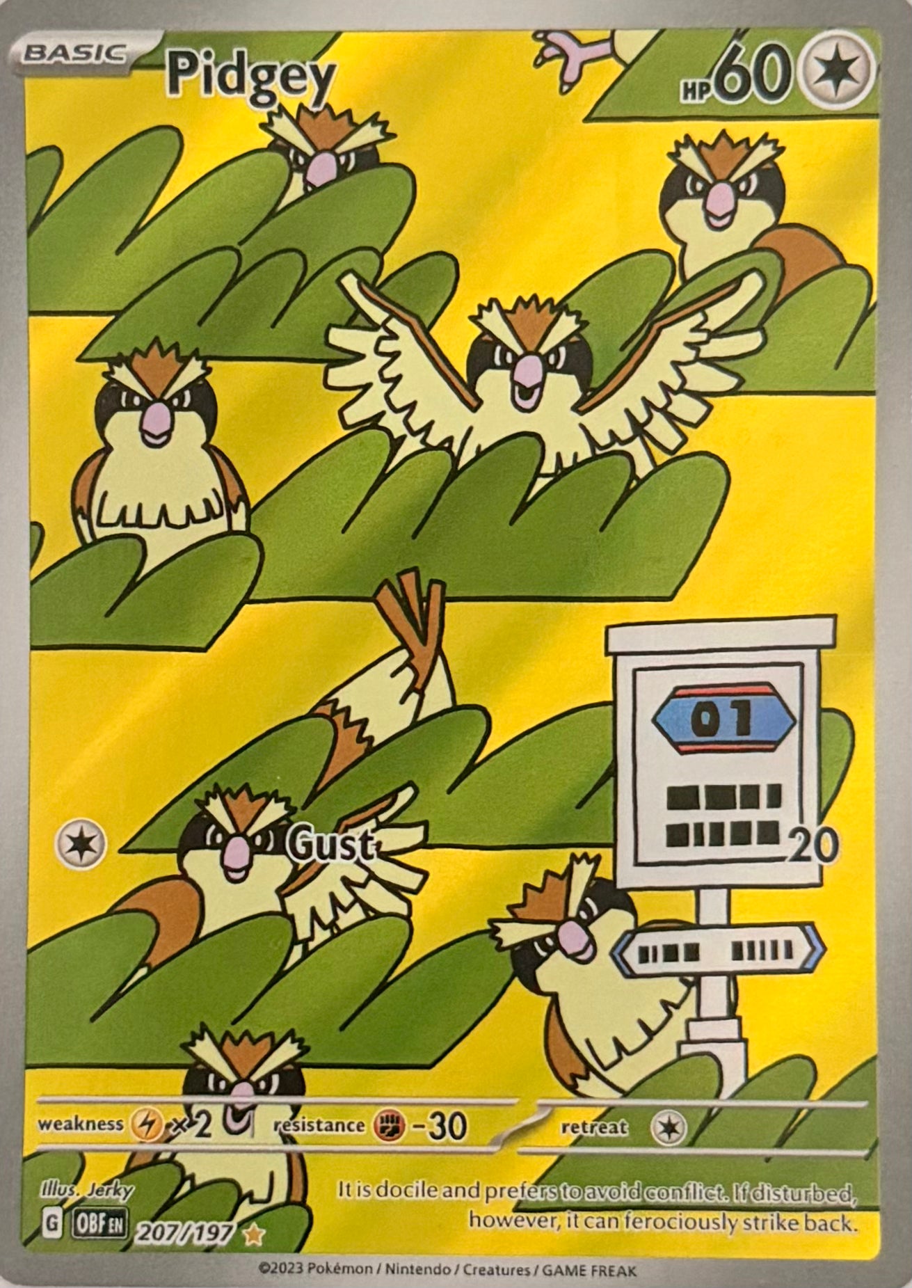 Pokemon Tcg Pidgey 207/197