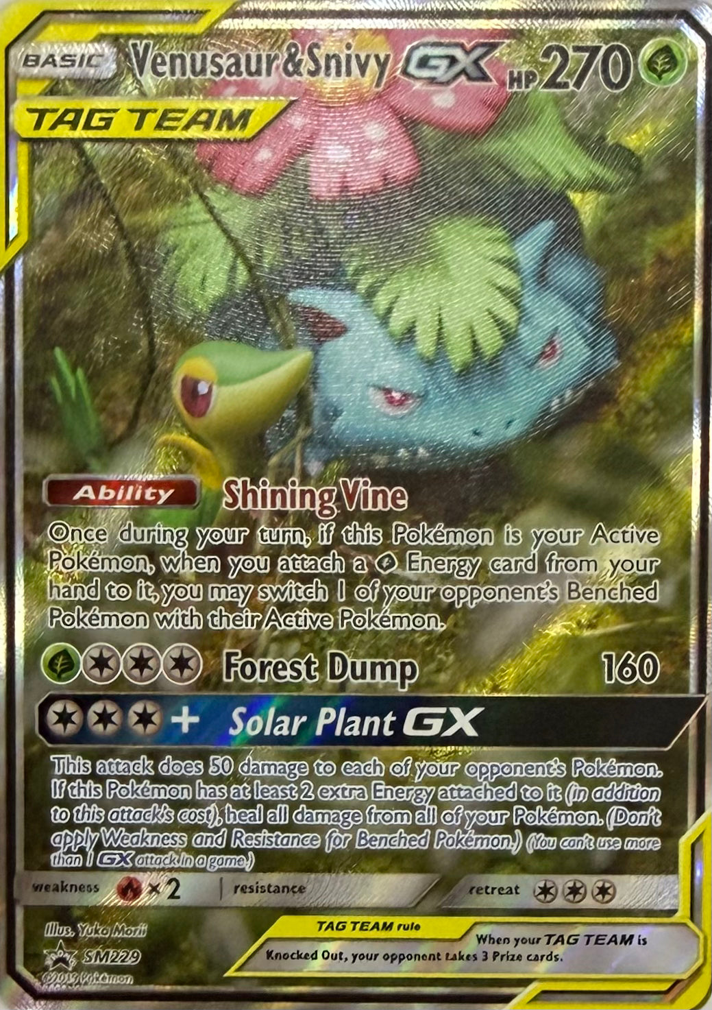 Pokemon Tcg Venusaur & Snivy GX SM229