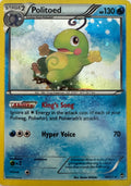 Pokemon Tcg Politoed 18/111 Holo