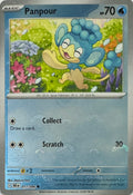 Pokemon Tcg Panpour 017/086 (Poke Ball)