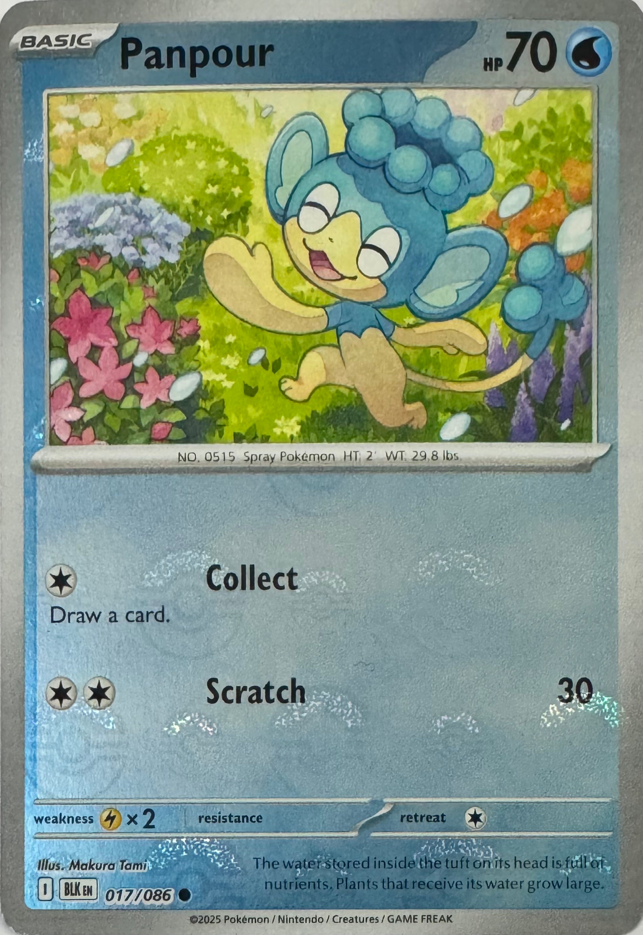Pokemon Tcg Panpour 017/086 (Poke Ball)