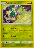 Pokemon Tcg Carnivine 6/73