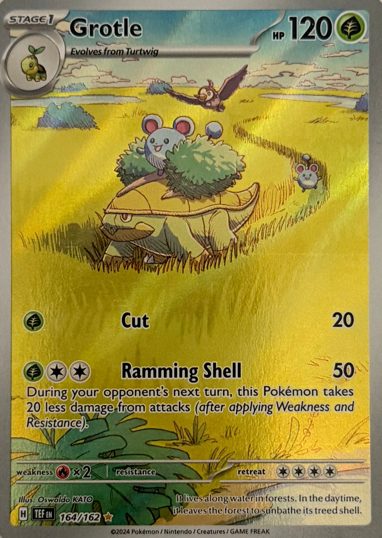 Pokemon Tcg Grotle 164/162