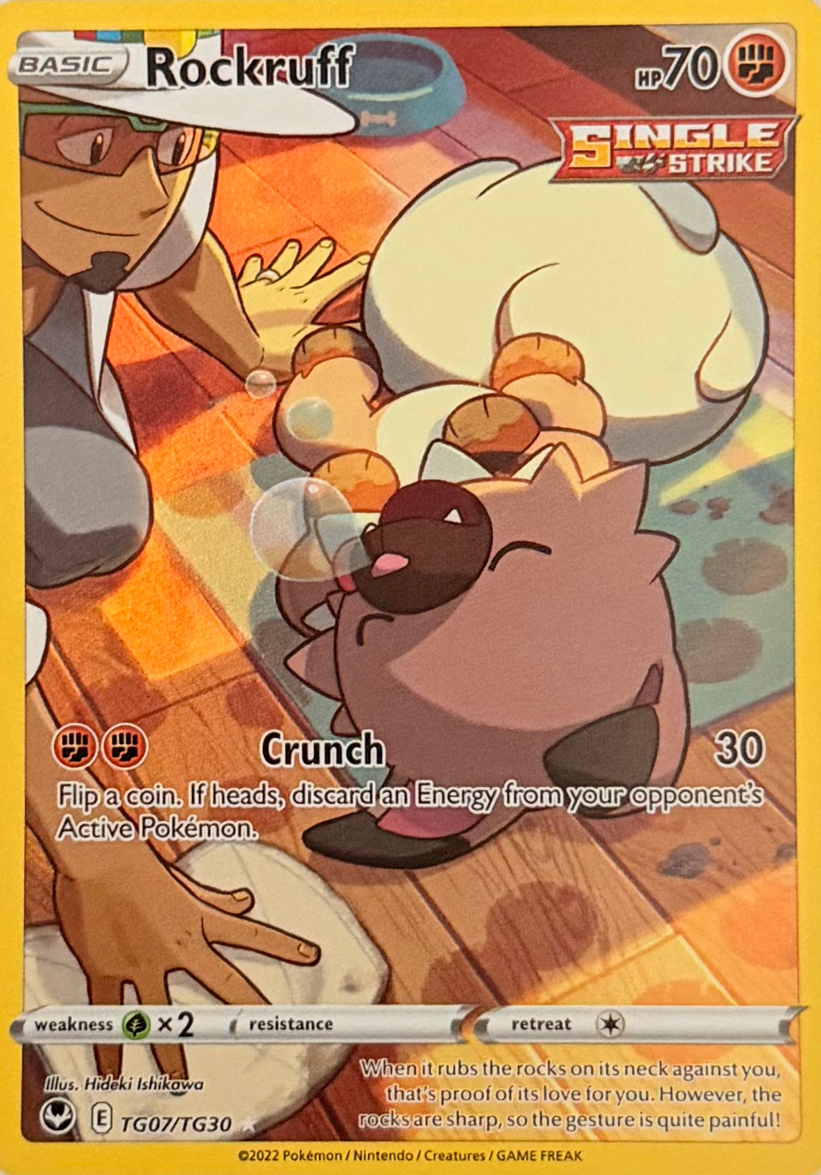 Pokemon Tcg Rockruff TG07/TG30