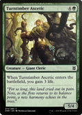Pokemon Tcg Turntimber Ascetic 214/280