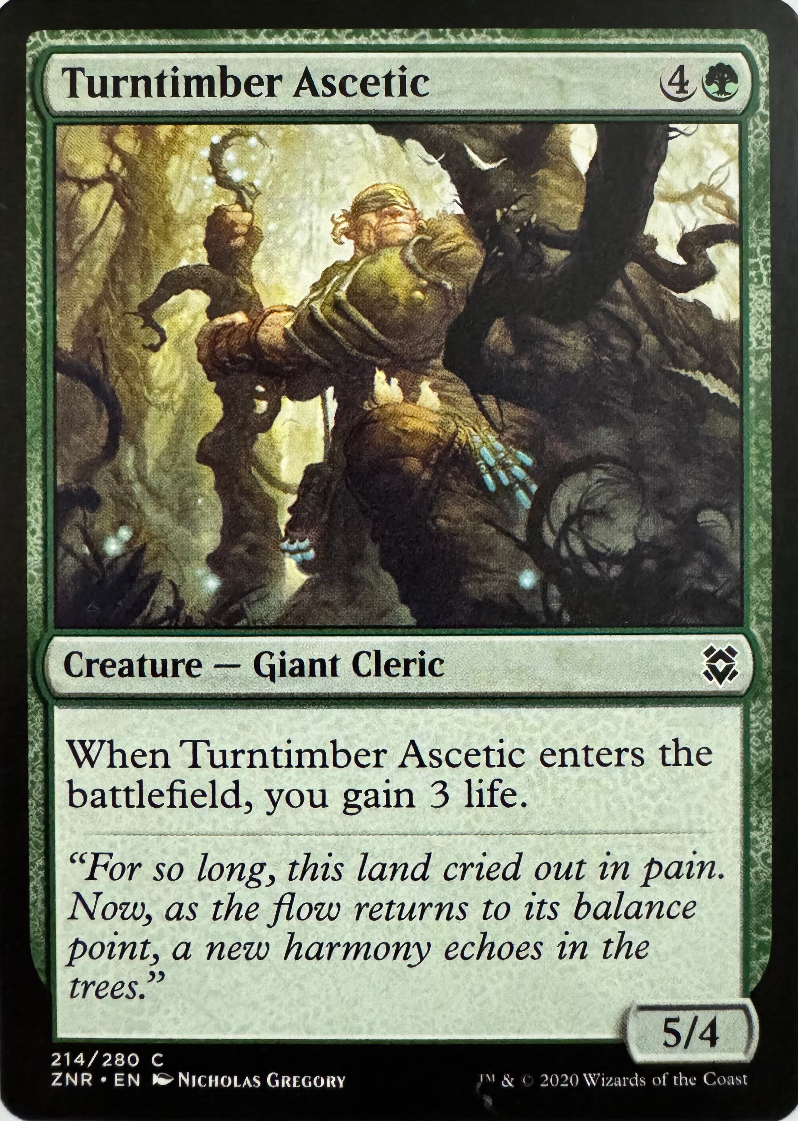 Pokemon Tcg Turntimber Ascetic 214/280