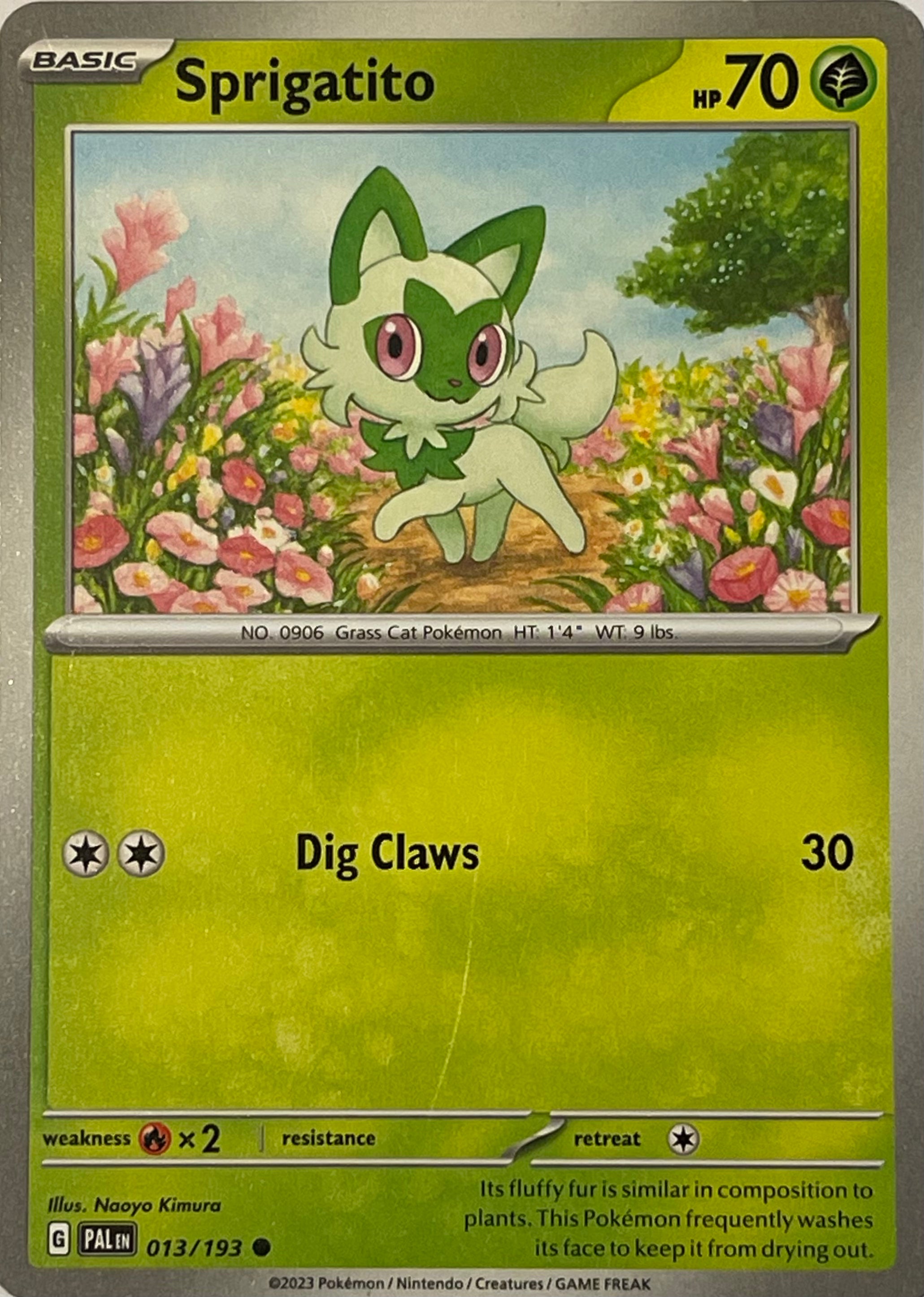 Pokemon Tcg Sprigatito 013/193