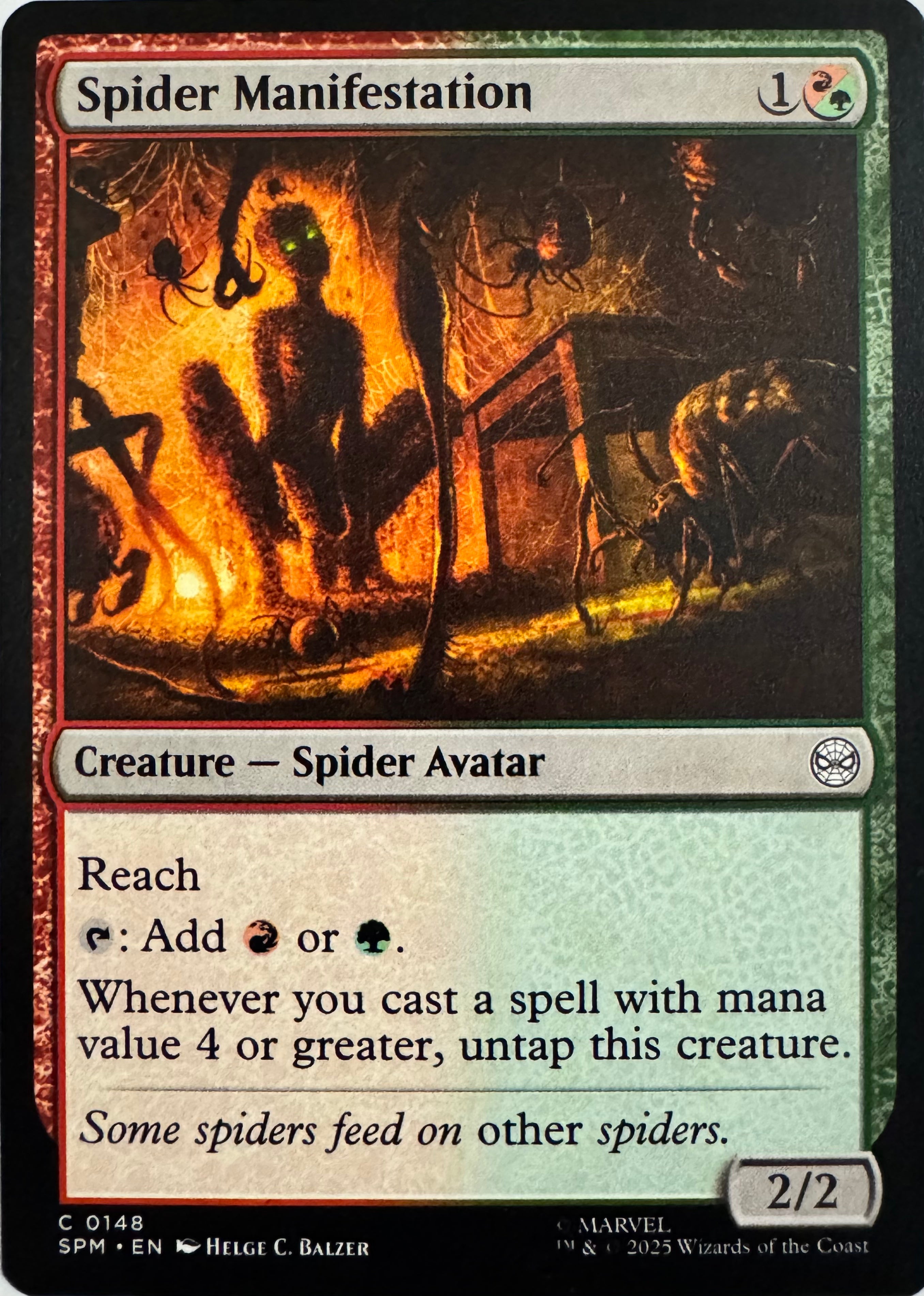 Magic Spider Manifestation 0148