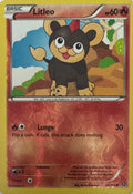 Pokemon Tcg Litleo 22/114 Reverse