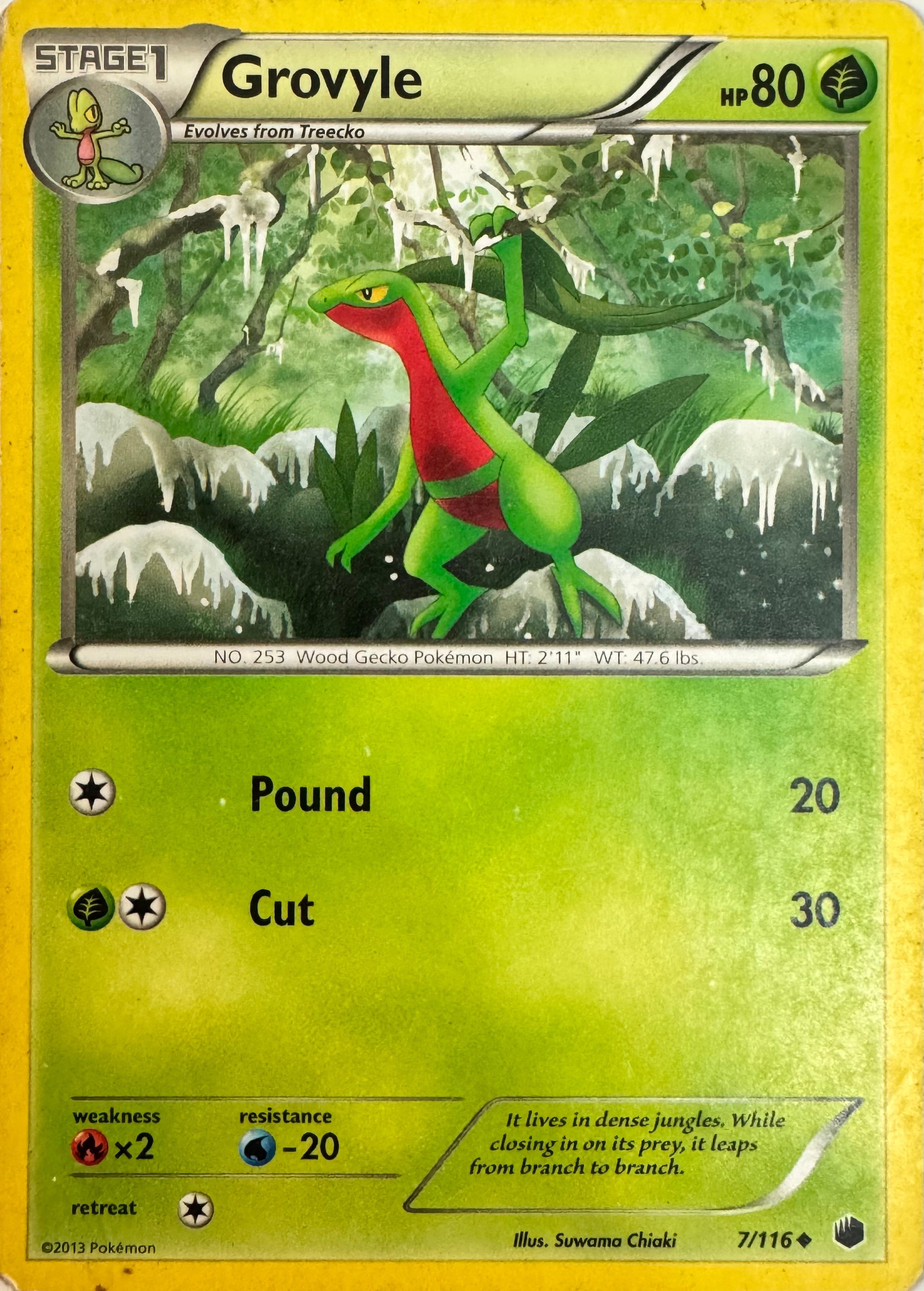 Pokemon Tcg Grovyle 7/116