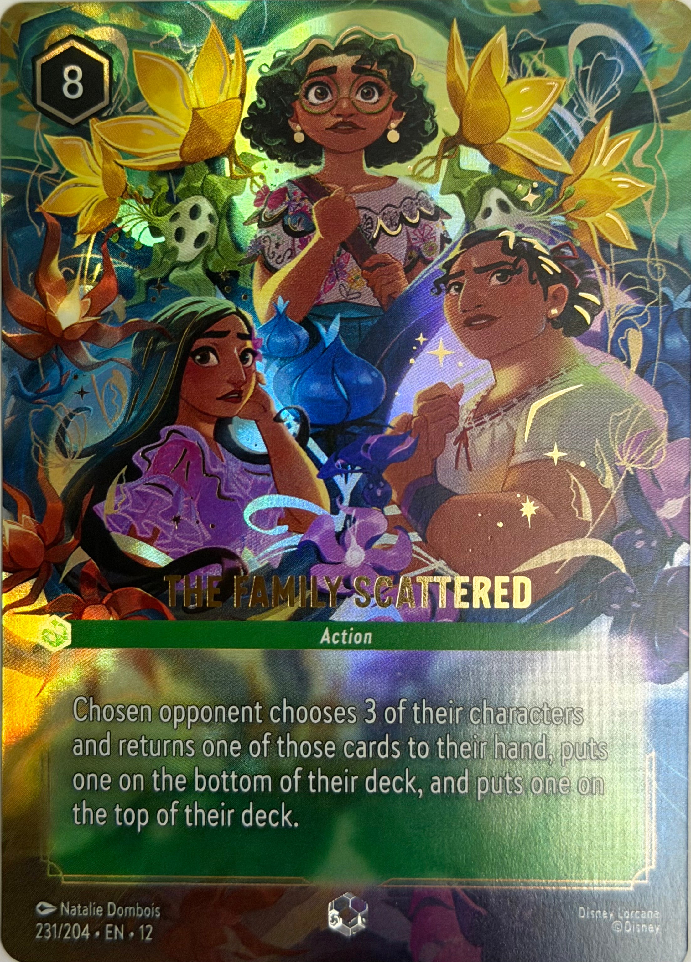 Disney Lorcana The Family Scattered 231/204 (Enchanted)