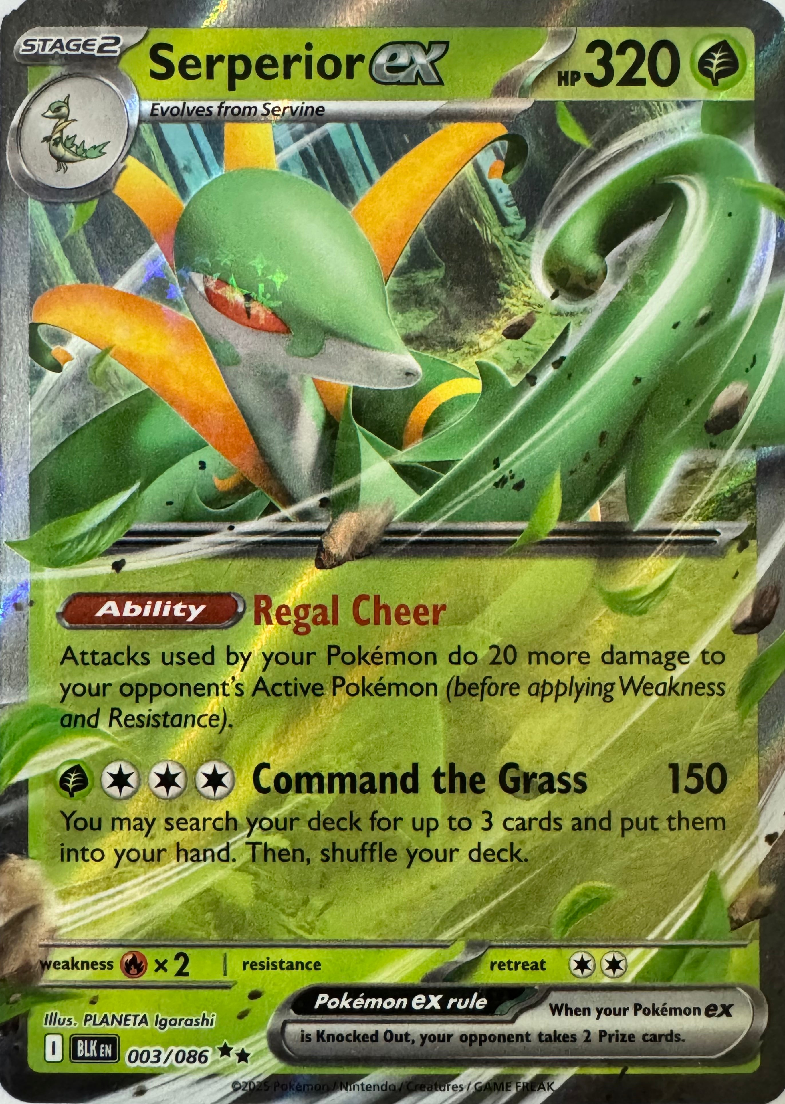 Pokemon Tcg Serperior Ex 003/086